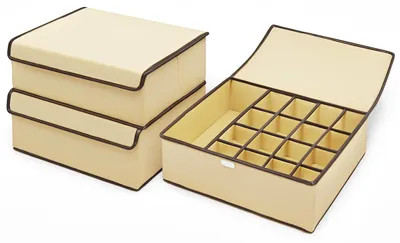 Produktbild von Aufbewahrungsboxen mit Deckel, Organizer, 2er-Set, faltbare Stoffbox, Aufbewahrungsboxen, Organizer mit Deckel 44 x 29 x 12,5