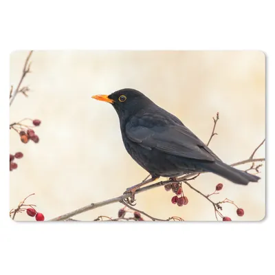 Produktbild von MuchoWow® Mauspad Mousepad Amsel - Vogel - Zweige - Beere - Rot 27x18 cm - Mousepads - Maus Mat - Pad - Mausunterlage - Büroartikel - Desk Matten