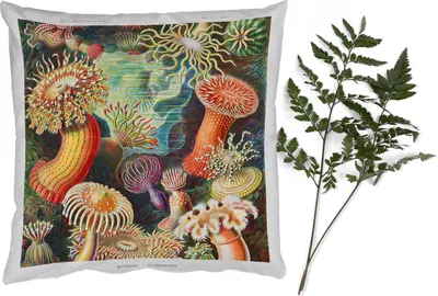 Produktbild von MuchoWow® Zierkissen Sofakissen Wohnzimmer Dekokissen 50x50 cm Ernst Haeckel - Anemone - Retro - Natur - Pflanzen - Meer - Komfort - Sofakissen