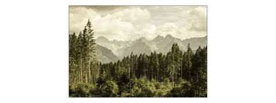 Immagine prodotto di Muralo foto montagne 270 (L) x 180 (A) cm carta da parati in tessuto non tessuto murale montagne foresta vista soggiorno camera da letto murales moderno XXL natura paesaggio panorama decorazione murale