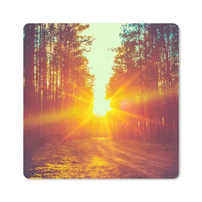 Produktbild von MuchoWow® Mauspad Mousepad Sonnenuntergang - Bäume - Wald - Natur 20x20 cm - Mousepads - Maus Mat - Pad - Mausunterlage - Desk Mat - Bureauartikeln
