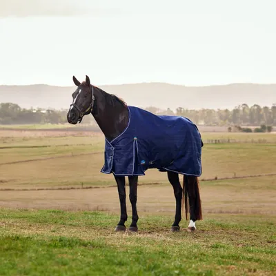 Image de Weatherbeeta Comfitec Prelim Turnout 220g - Taille 135 - Bleu