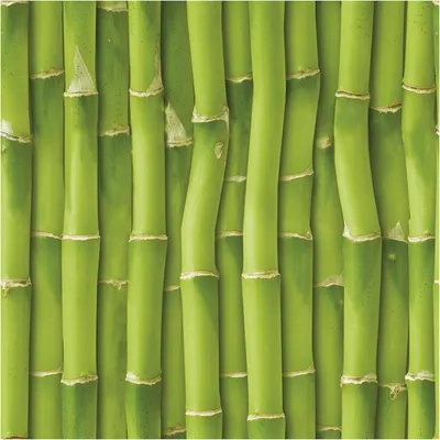 Obrázek produktu pro Samolepka s efektem tapety – Sumatra-Bambus – 40 x 40 cm