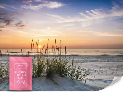 Immagine prodotto di Muralo in tessuto non tessuto carta da parati mare spiaggia dune tramonto paesaggio 3D 350x256