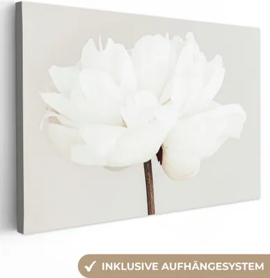 Obrázek produktu pro OneMillionCanvasses® - Obraz na plátně - 150x100 cm, Květiny - Pivoňka - Bílá - Zátiší, Nástěnné umění tisk Nástěnné dekorace - Fotografie na plátně - Malba na dřevěném rámu