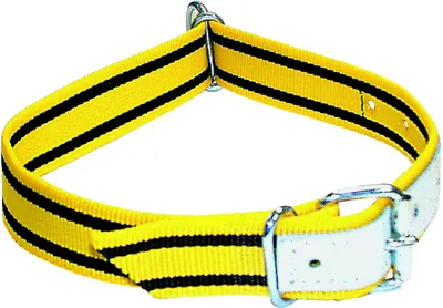 Produktbild von Electra Halsband für Kälber, verstellbar - 90 cm