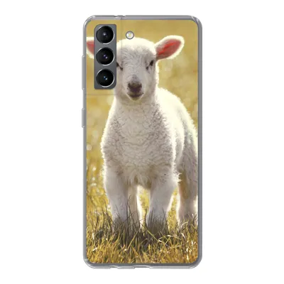 Produktbild von MuchoWow® Handyhülle Schutzhülle Hülle für Samsung Galaxy S21 Schafe - Gras - Sonne Silikon Softcase Handy Hülle - Softcase
