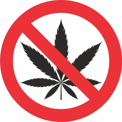 Produktbild von Metafranc Hinweisschild Cannabis verboten Ø 15 cm