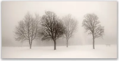 Produktbild von Tulup Leinwand-Bilder 140x70 Wandbild Canvas Kunstdruck Schnee Bäume Landschaft