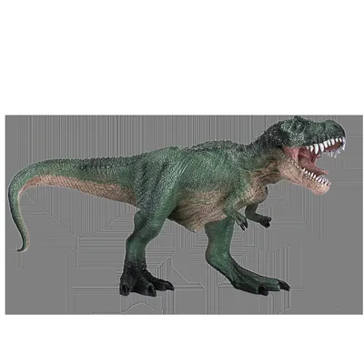 Obrázek produktu pro Mojo Fun Tyrannosaurus Hunting V2 Green, 3 rok/roky, PREHISTORIC LIFE, Zelená, Bílá, Hnědá, Polyvinylchlorid (PVC)