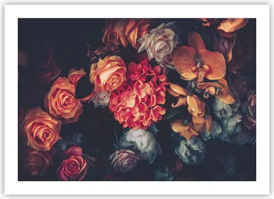 Produktbild von Poster - Poster ohne Rahmen - Blumenstrauß Blumen Rosen - 70x50 cm - Wand Bild - Wanddeko - Wandbilder - Kunstposter - Wandposter - Bilder - Kunstdruck - Wanddekoration - Wandbild - P2XAA70x50-5002