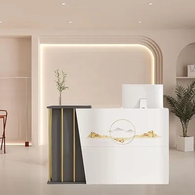 Zdjęcie produktu dla Recepcja z zamykaną szufladą – recepcja biurowa i stół recepcyjny do lobby hotelowego, gabinetu, salonu i biura; Nowoczesna recepcja z dużą powierzchnią roboczą, szerokość 120 cm