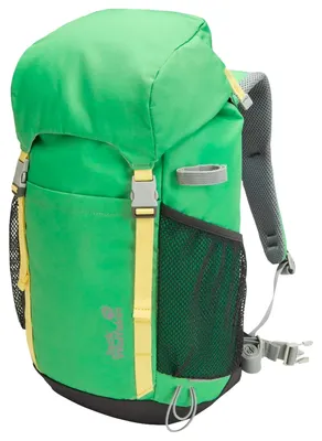 Produktbild von Jack Wolfskin Kids Explorer 20 - Kinderrucksack 47 cm (lizard)