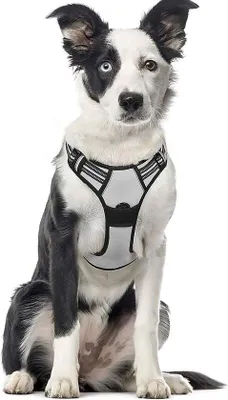 Produktbild von Famanu Hundegeschirr, anti-Zieh-Design, reflektierend und atmungsaktiv - Schwarz
