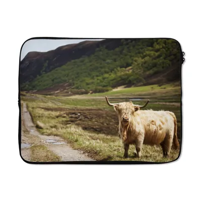 Produktbild von MuchoWow® Laptop Hülle 17 Zoll Laptoptasche Schottische Highlander - Pfad - Wald - Zipper - Schutzabdeckung