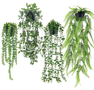 Image de 4 plantes artificielles, plantes murales artificielles pour le salon, les chambres, la décoration murale, l'aménagement esthétique de l'espace