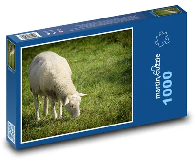 Obrázok produktu pre Puzzle 1000 Ovce na pastve - martinpuzzle