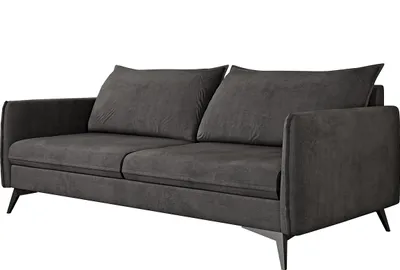 A dark gray sofa is shown against a white background.