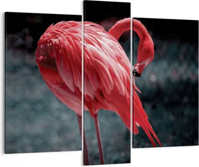 Produktbild von Bild auf Leinwand - Leinwandbild - 3 Teile - Flamingo Rosa Vogel - 95x80cm - Wand Bild - Wanddeko - Wandbilder - Leinwanddruck - Bilder - Wanddekoration - Leinwand bilder - Wandbild - CB95x80-4551