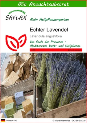 Produktbild von SAFLAX - Echter Lavendel - Lavandula angustifolia - 150 Samen - Mit keimfreiem Anzuchtsubstrat