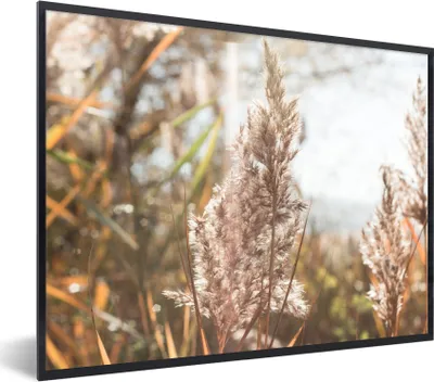 Produktbild von MuchoWow® Gerahmtes Poster Schilf - Sonne - Pflanze 40x30 cm - Poster mit Schwarzem Bilderrahmen Wandposter Rahmen Foto Bilder - Kunstposter - Wanddekorationen
