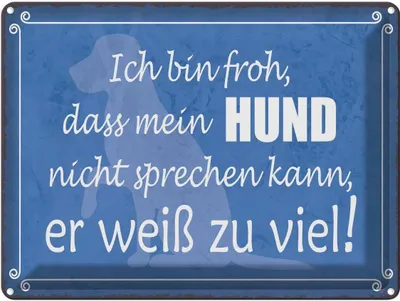 Produktbild von vianmo Blechschild 30x40 cm froh mein Hund nicht sprechen Tier Haustier