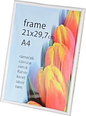 Produktbild von PLASTIC WHITE Rahmen Kunststoff A4 weiß
