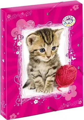 Produktbild von Herlitz Heftbox "Pretty Pets" / DIN A4 / aus PP / mit Hundemotiv