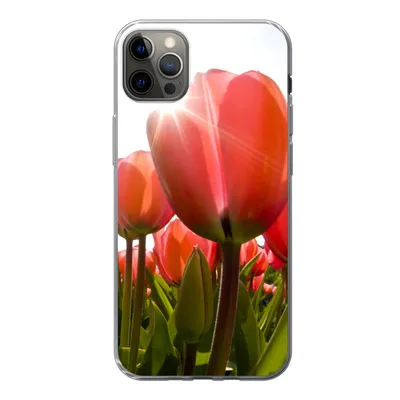 Produktbild von MuchoWow® Handyhülle Schutzhülle Hülle für iPhone 12 Pro Max Blumen - Tulpen - Sonne Silikon Softcase Handy Hülle - Hartschale