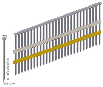 A strip of nails, with some color-coded for size, shown in a 3D render.