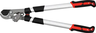 Produktbild von Teleskopische Amboss-Astschere mit Ratsche, 40 mm