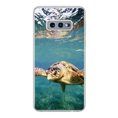 Produktbild von MuchoWow® Handyhülle Schutzhülle Hülle für Samsung Galaxy S10e Schildkröte - Wasser - Blau Silikon Softcase Handy Hülle - Handy