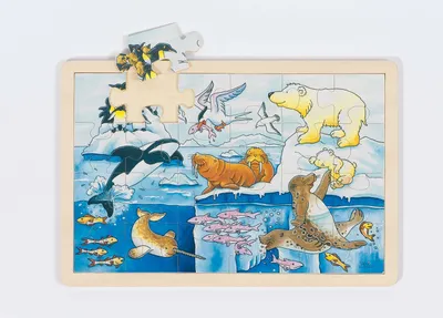 Immagine prodotto di goki 57889 Animali polari, puzzle, colorato (1 pezzo)
