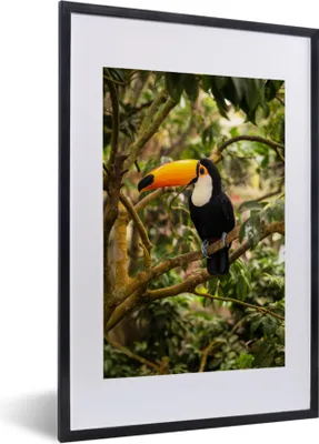 Produktbild von MuchoWow® Gerahmtes Poster Vogel - Tukan - Dschungel - Natur - Tropisch 40x60 cm - Poster mit Schwarzem Bilderrahmen Wandposter Rahmen Foto Bilder - Poster in Rahmen