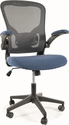 Image de Chaise pivotante DALAL – gris / bleu