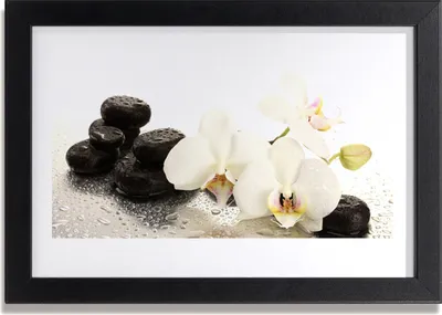Produktbild von Bild 30x20 MDF-Rahmen Wandkunst Stein Blume Pflanze