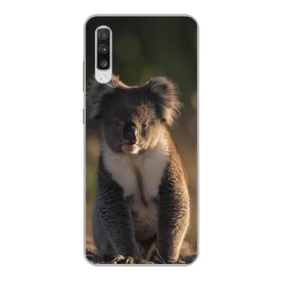 Produktbild von MuchoWow® Handyhülle Schutzhülle Hülle für Samsung Galaxy A70 Koala - Sonne - Tier - Kinder - Jungen - Mädchen Silikon Softcase Handy Hülle - Schutzhaube