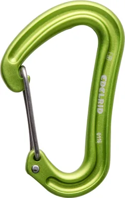 Grüner Schnappkarabiner "Nineteen G" von Edelrid; leicht und robust; ideal für Kletteraktivitäten.