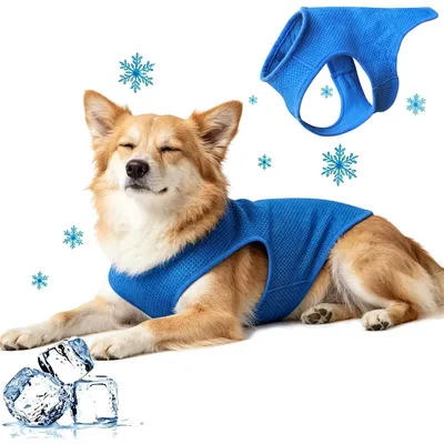 Produktbild von Hundekleidung, atmungsaktiv und sommerlich, Größe M