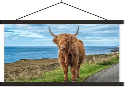 Produktbild von MuchoWow® Textilposter Schottisches Hochlandrind - Wasser - Hörner 120x60 cm mit schwarzem Rahmen - Dekoration Schlafzimmer