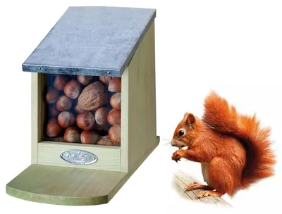Futterhaus-Eichhörnchen-Holz-Zink