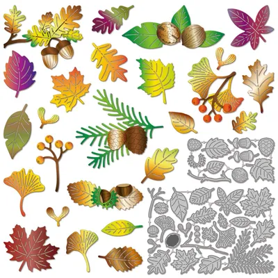 Image de Solidchoice - Gabarits de découpe pour feuilles d'automne et décorations