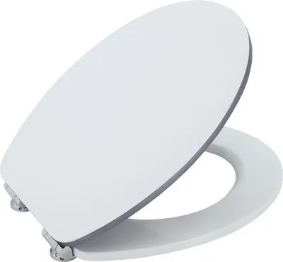 Produktbild von form&style WC-Sitz Edge metallic silver MDF mit Absenkautomatik