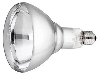 Productafbeelding van Philips Witte infrarood warmtelamp met brede warmtestraal voor dieren en voedsel 250 watt