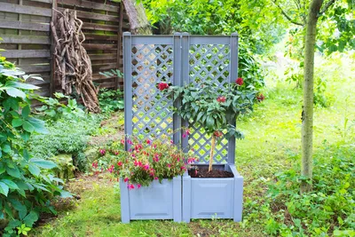 Produktbild von KHW Pflanzkasten mit Rankgitter/Spalier aus hochwertigem Kunststoff, als 2er Set ; Farbe: Grau; Maße (LxBxH): 86 cm x 43 cm x 140 cm