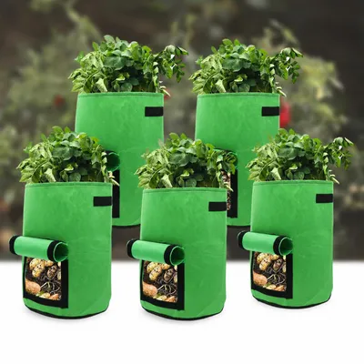 Produktbild von Wolketon Garten Pflanzsack 5er Set XXL | 38 Liter | Mit Sichtfenster & Tragegriffen | Atmungsaktives Vlies | Für Kartoffeln & Gemüse, KI-generiertes Bild