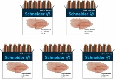 Produktbild von Schneider Standard-Tintenpatronen 5er-Set braun