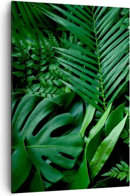 Produktbild von Bild auf Leinwand - Leinwandbild - Einteilig - Exotisch Blätter Monstera - 70x100cm - Wand Bild - Wanddeko - Wandbilder - Leinwanddruck - Wanddekoration - Leinwand bilder - Wandbild - PA70x100-4746
