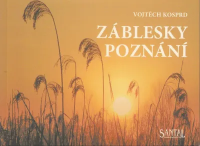 Obrázek produktu pro Záblesky poznání (Kosprd Vojtěch)