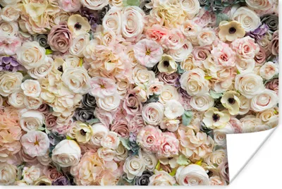 Produktbild von MuchoWow® Poster Rosen - Blumen - Pastell 120x80 cm - Bilder